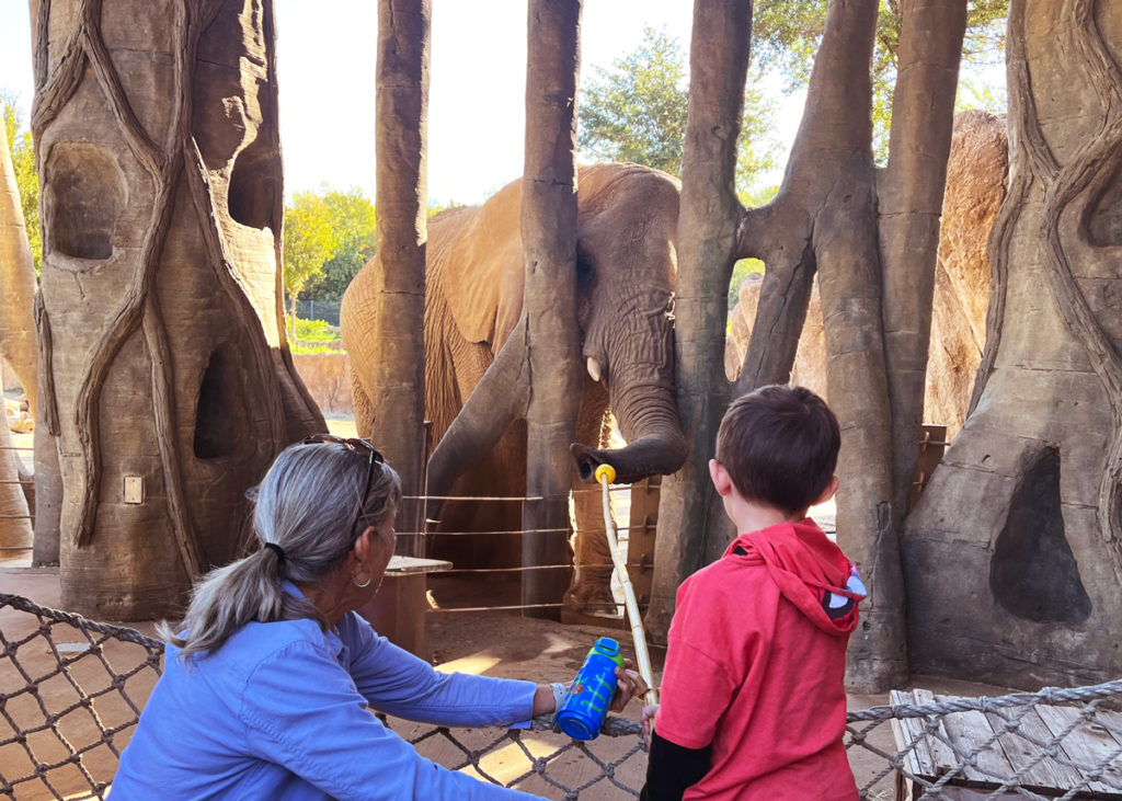 Woman and child participating in Backstage Safari with an african elephant at the Dallas Zoo