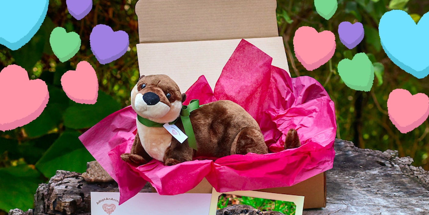 Dallas Zoo to the Largest Zoological Experience in Texas!