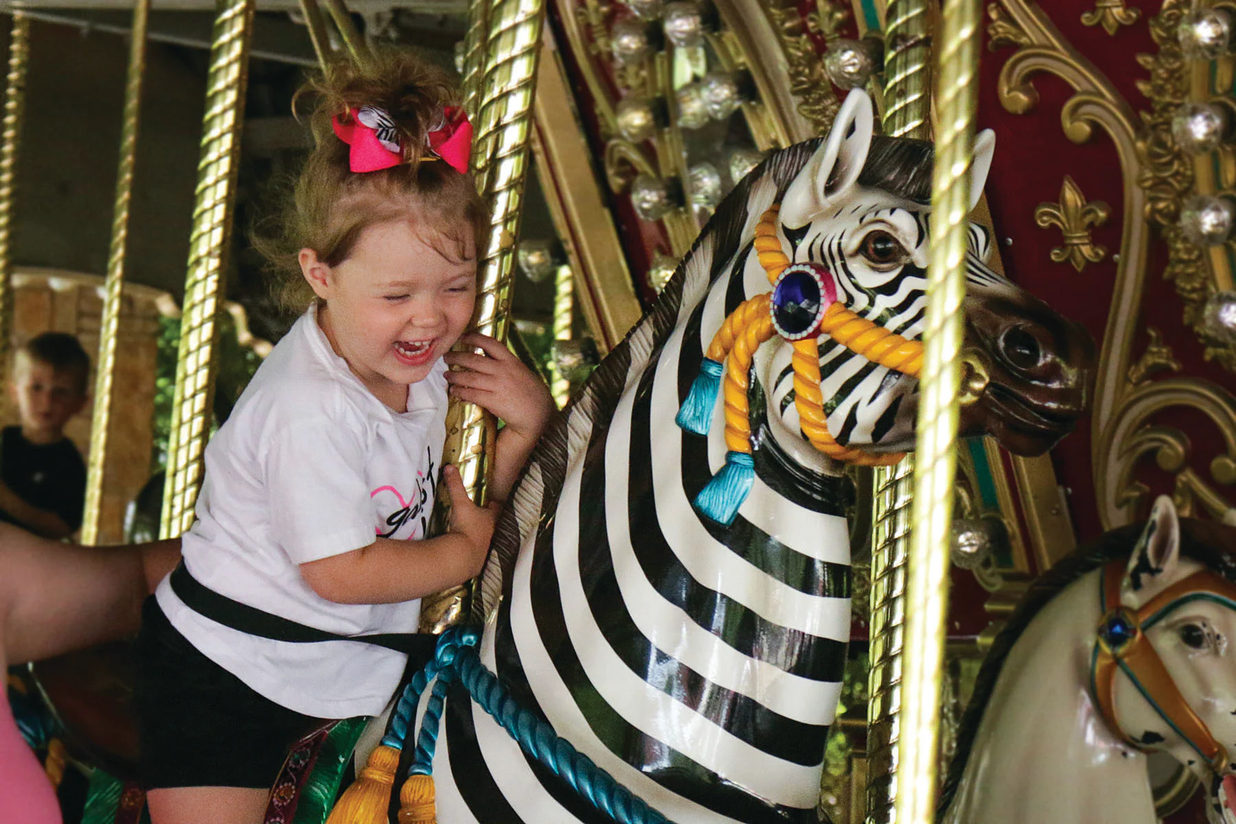 Attractions | Dallas Zoo