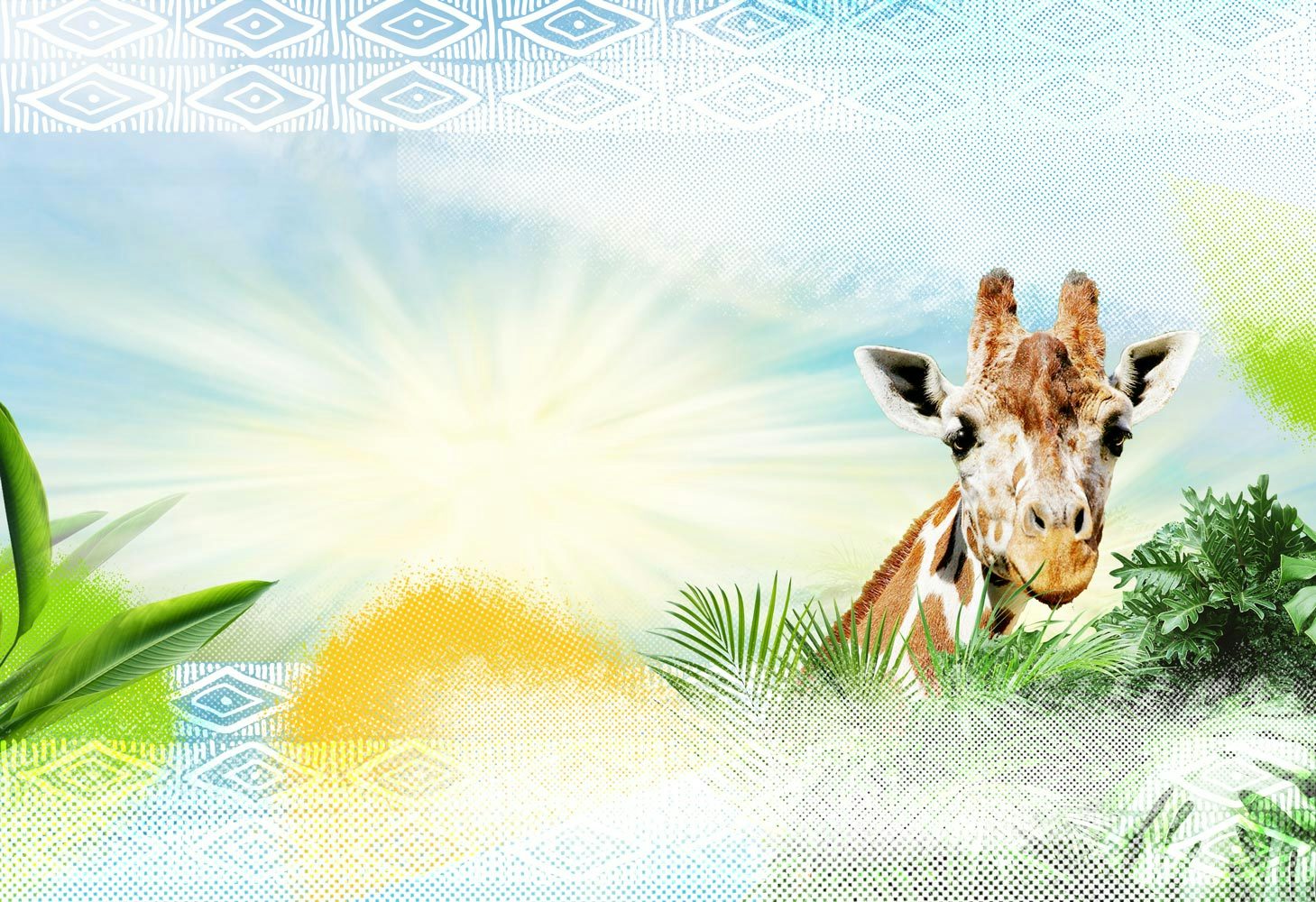 Dallas Zoo to the Largest Zoological Experience in Texas!