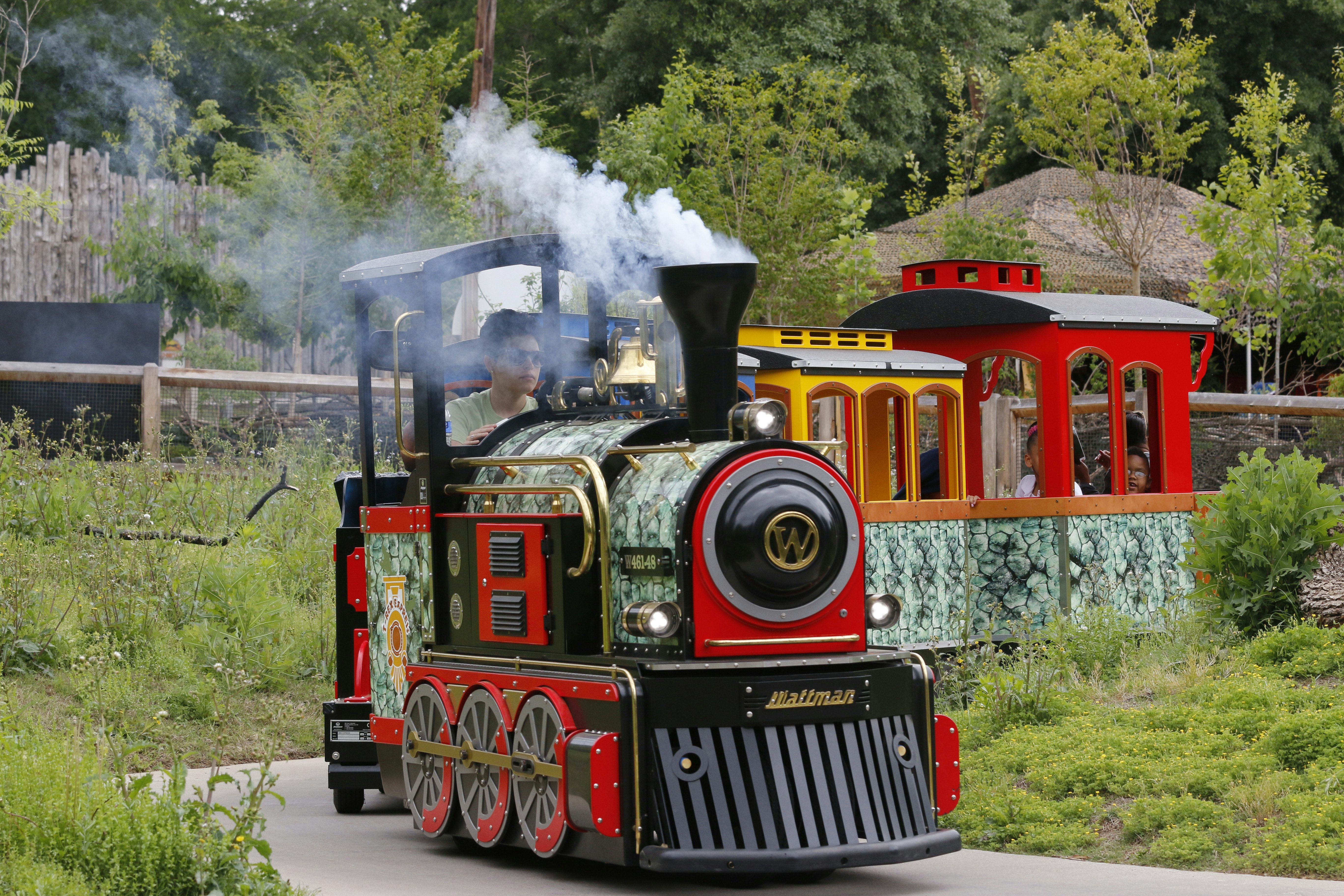Mini train on the track