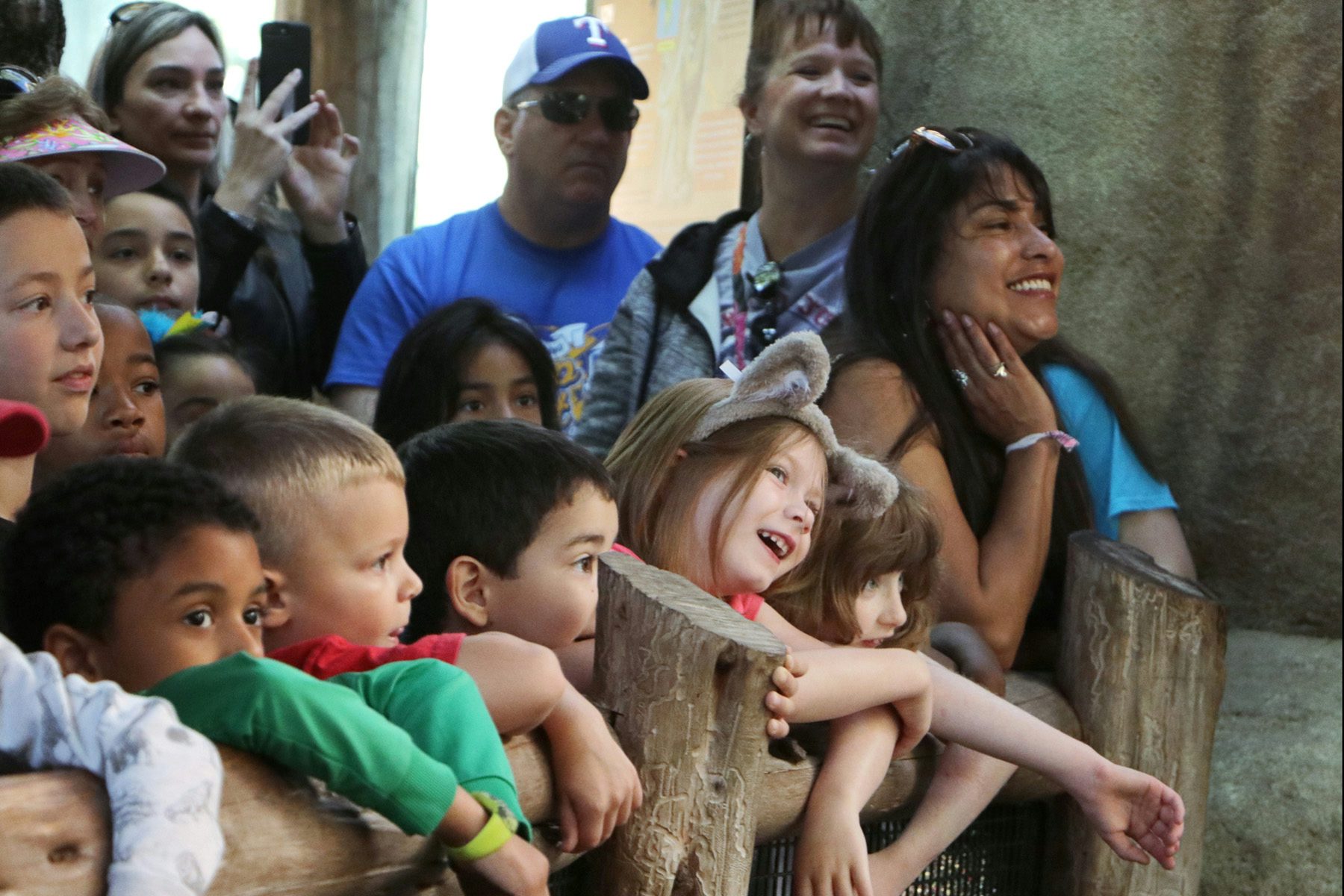 Plan Your Visit Dallas Zoo