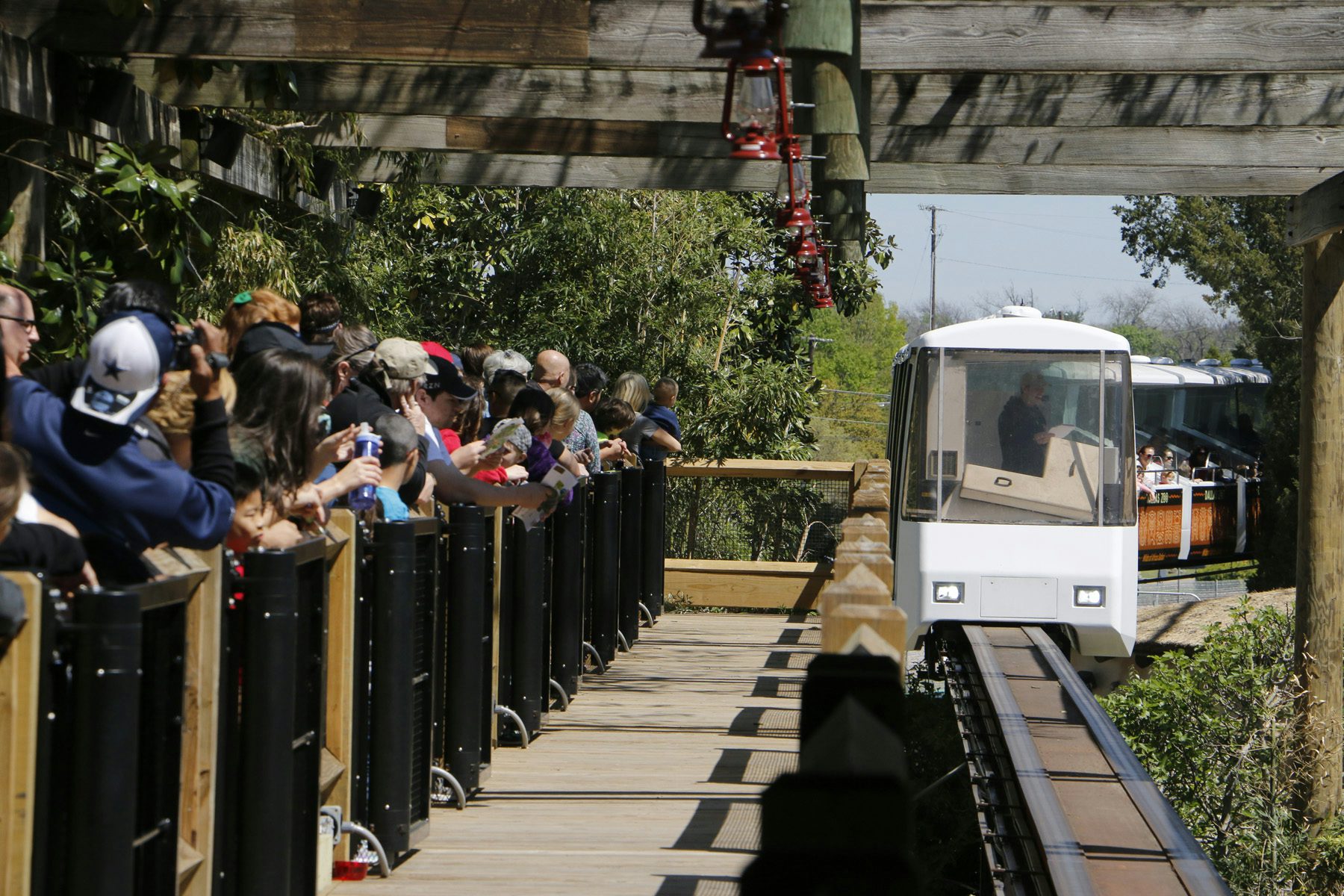 Attractions Dallas Zoo