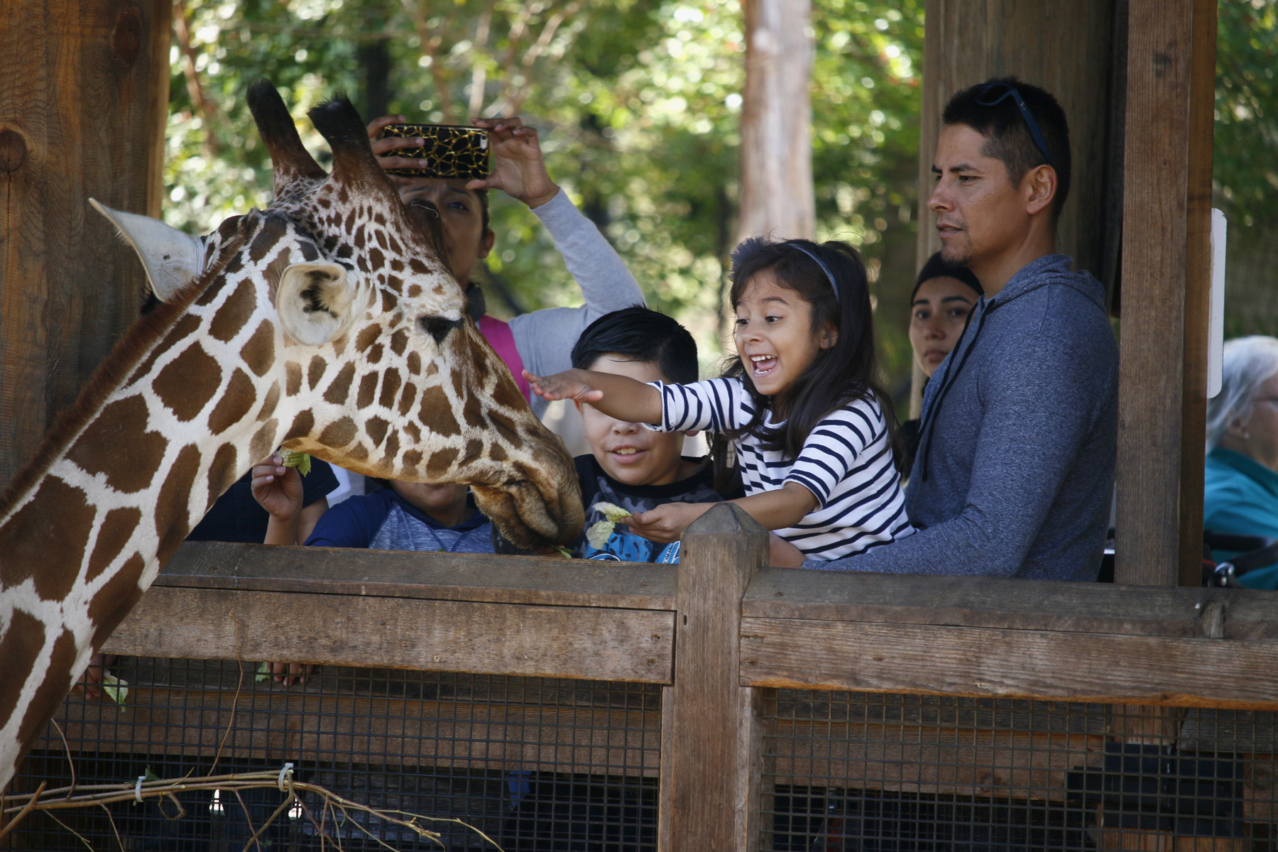 People At The Zoo