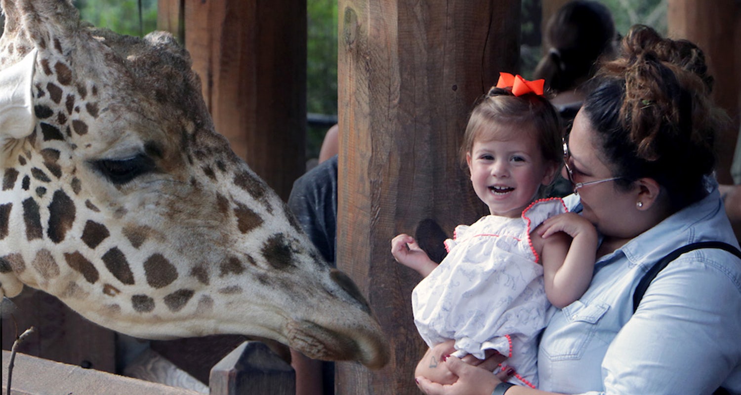 Dallas Zoo to the Largest Zoological Experience in Texas!