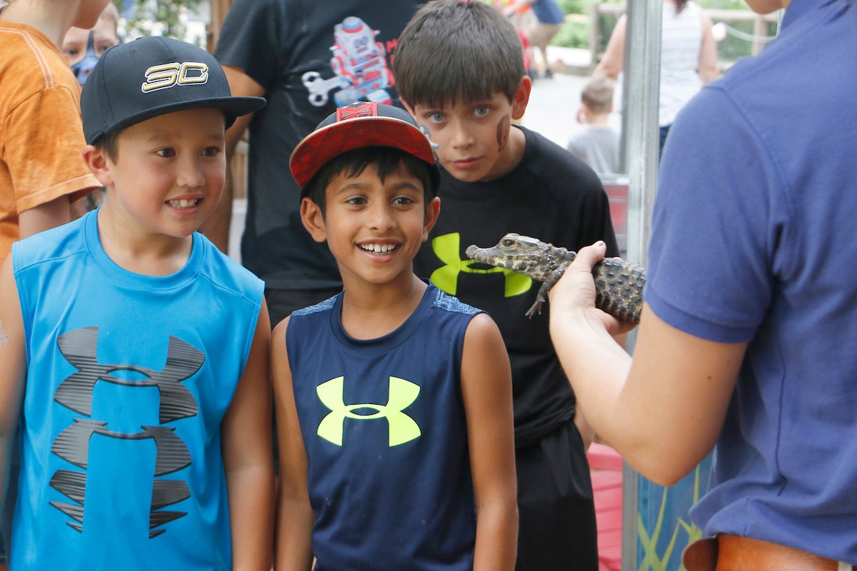 Kid programs at the Dallas Zoo in Dallas, Texas