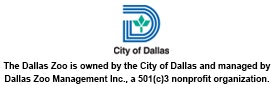 City of Dallas