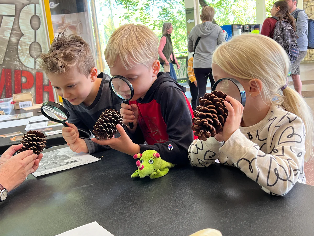 Sensory Friendly event for kids at the Dallas Zoo in Dallas, Texas