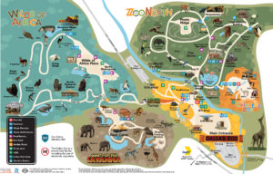 Map of the Zoo | Dallas Zoo