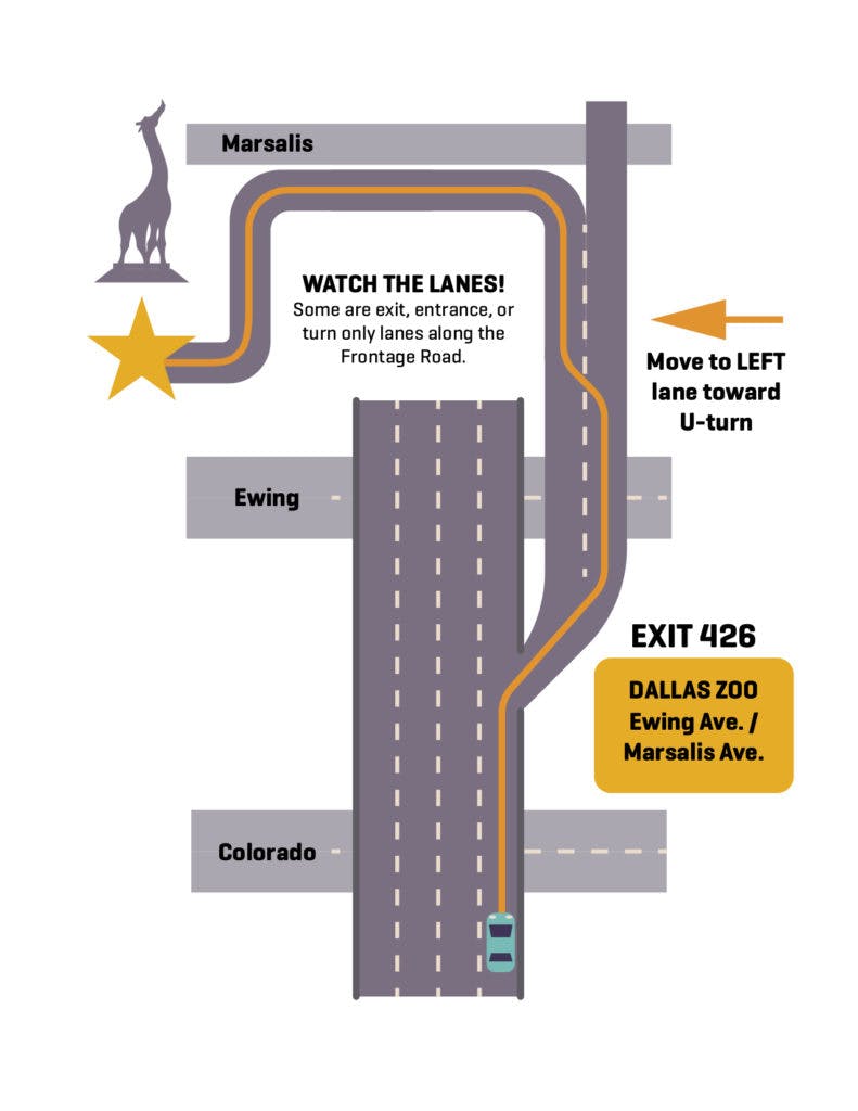 Getting to the Zoo Dallas Zoo