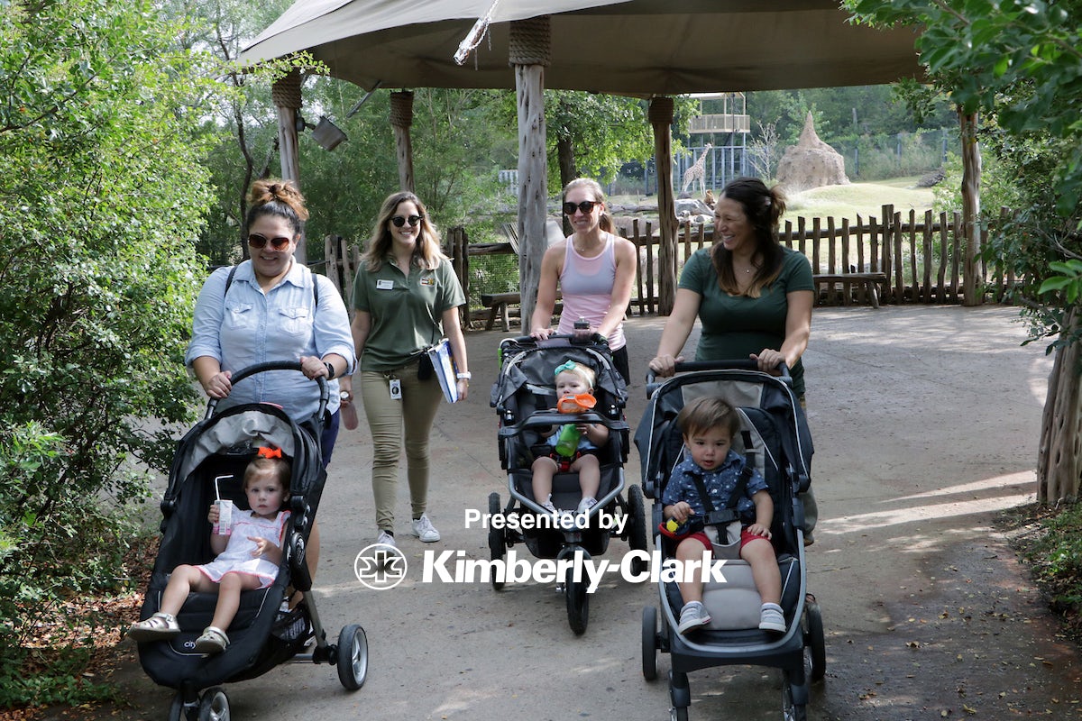 Education Programs Dallas Zoo