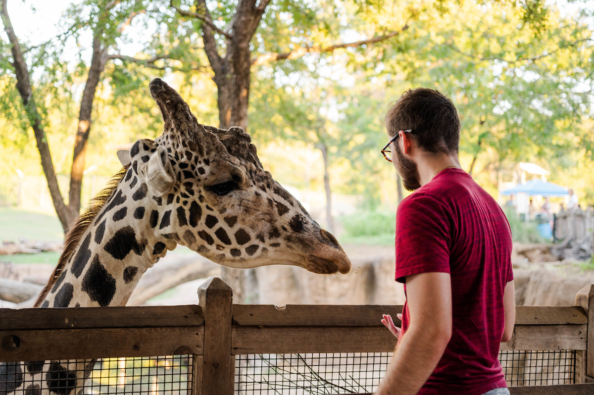 dallas zoo family membership price