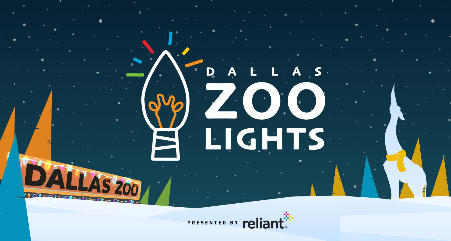 Zoo Lights FAQ 2022 Dallas Zoo