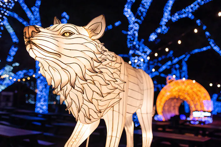 Dallas Zoo Lights at the Dallas Zoo