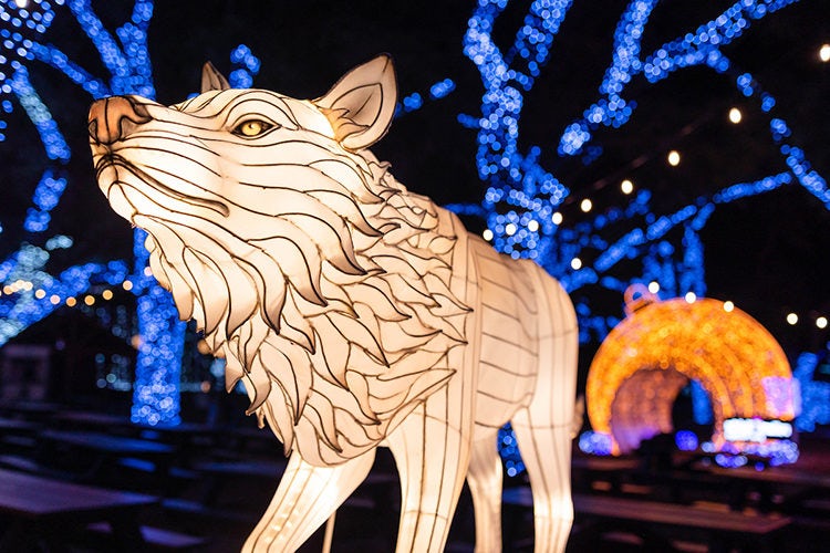 Dallas Zoo Lights at the Dallas Zoo