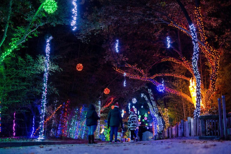 Zoo Lights 2023 Dallas Zoo