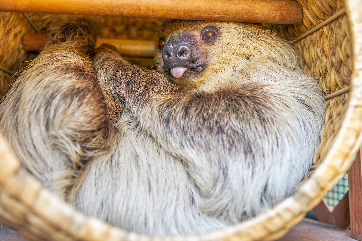 Planned Giving | Dallas Zoo