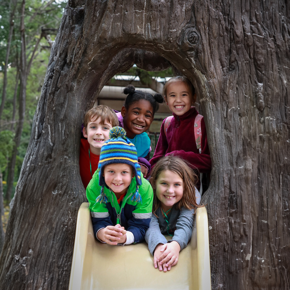 Winter Break Camp