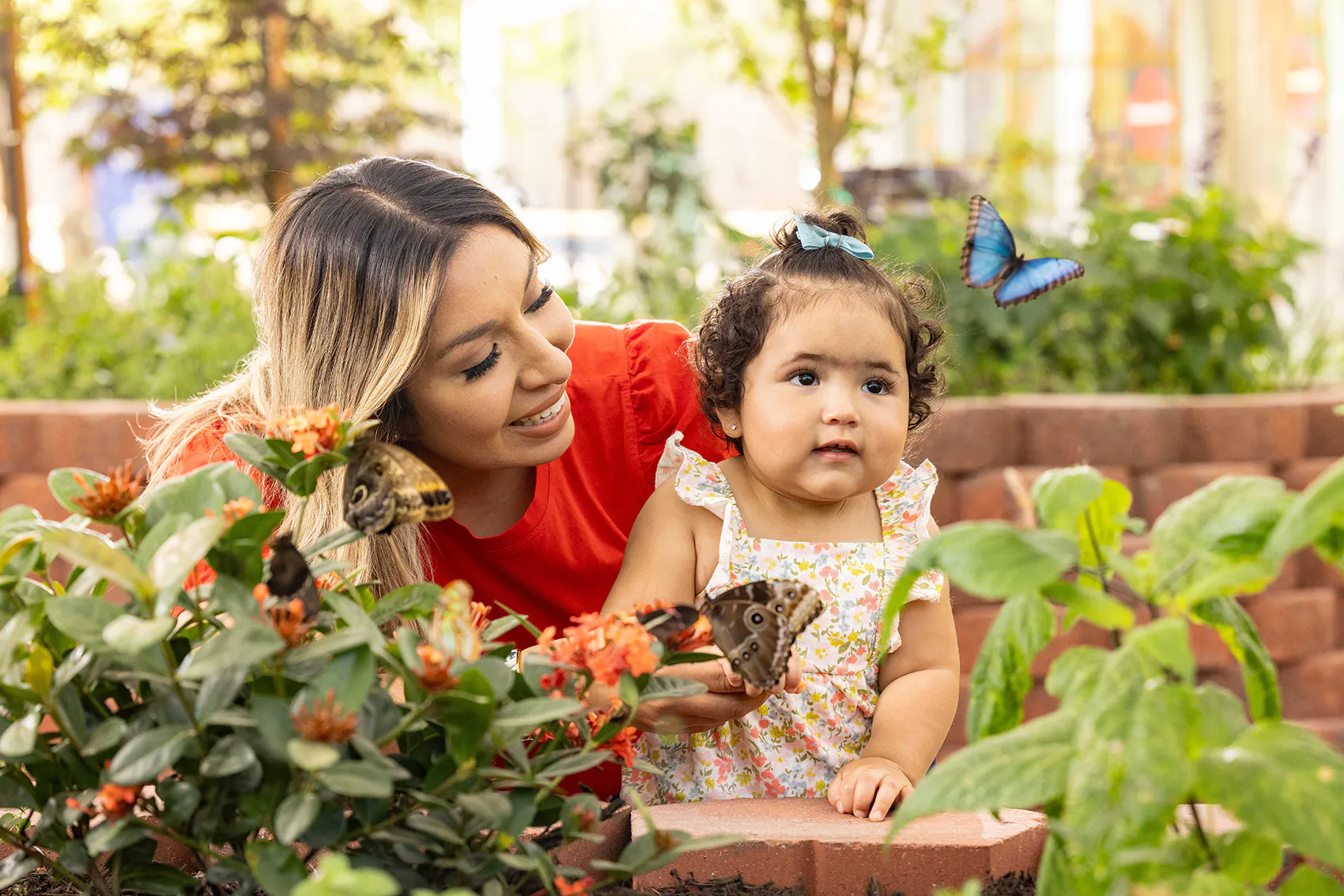 Sensory Friendly Morning