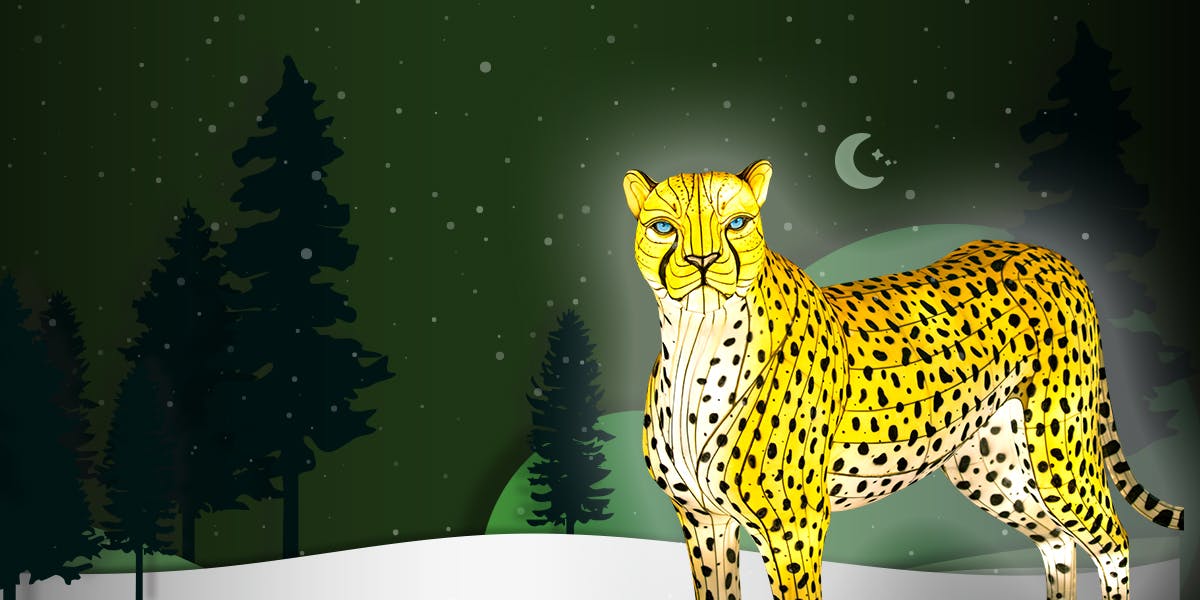 Dallas Zoo Lights Presented by Reliant